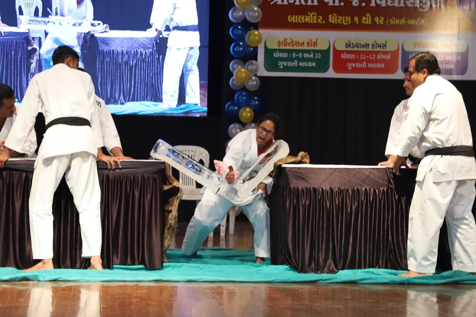  Karate Demonstration 2024