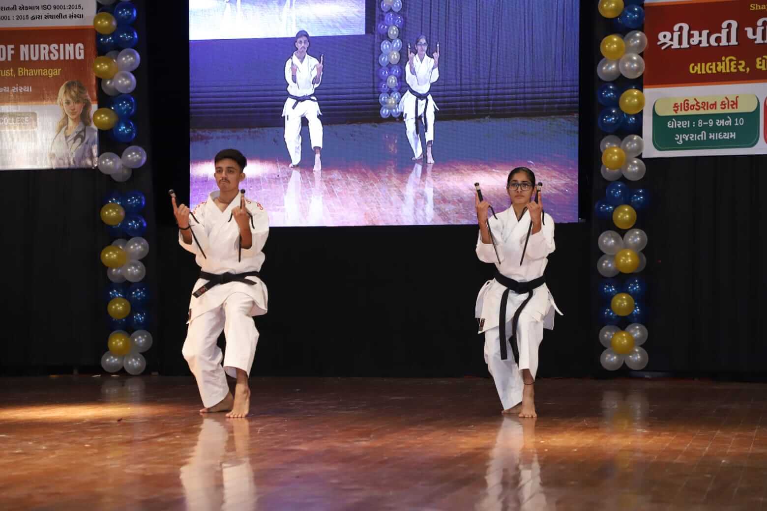  Karate Demonstration 2024