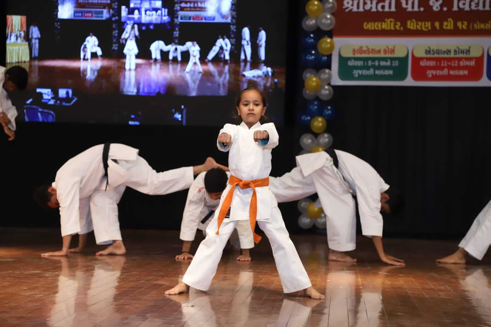  Karate Demonstration 2024