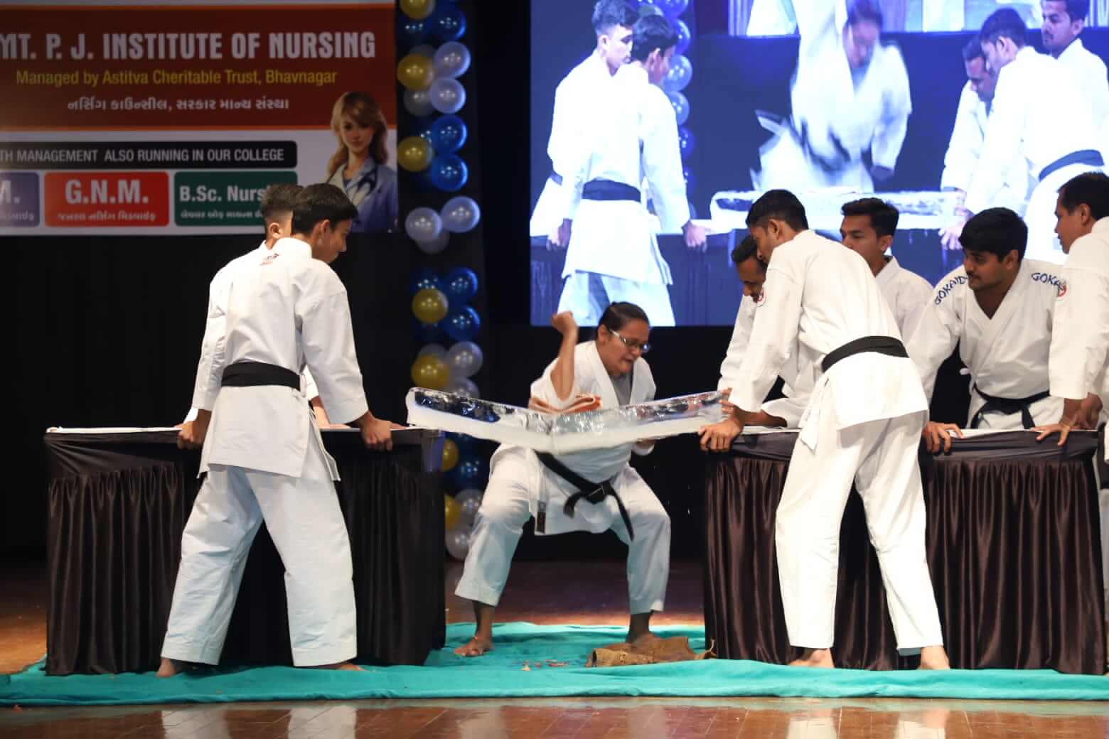  Karate Demonstration 2024