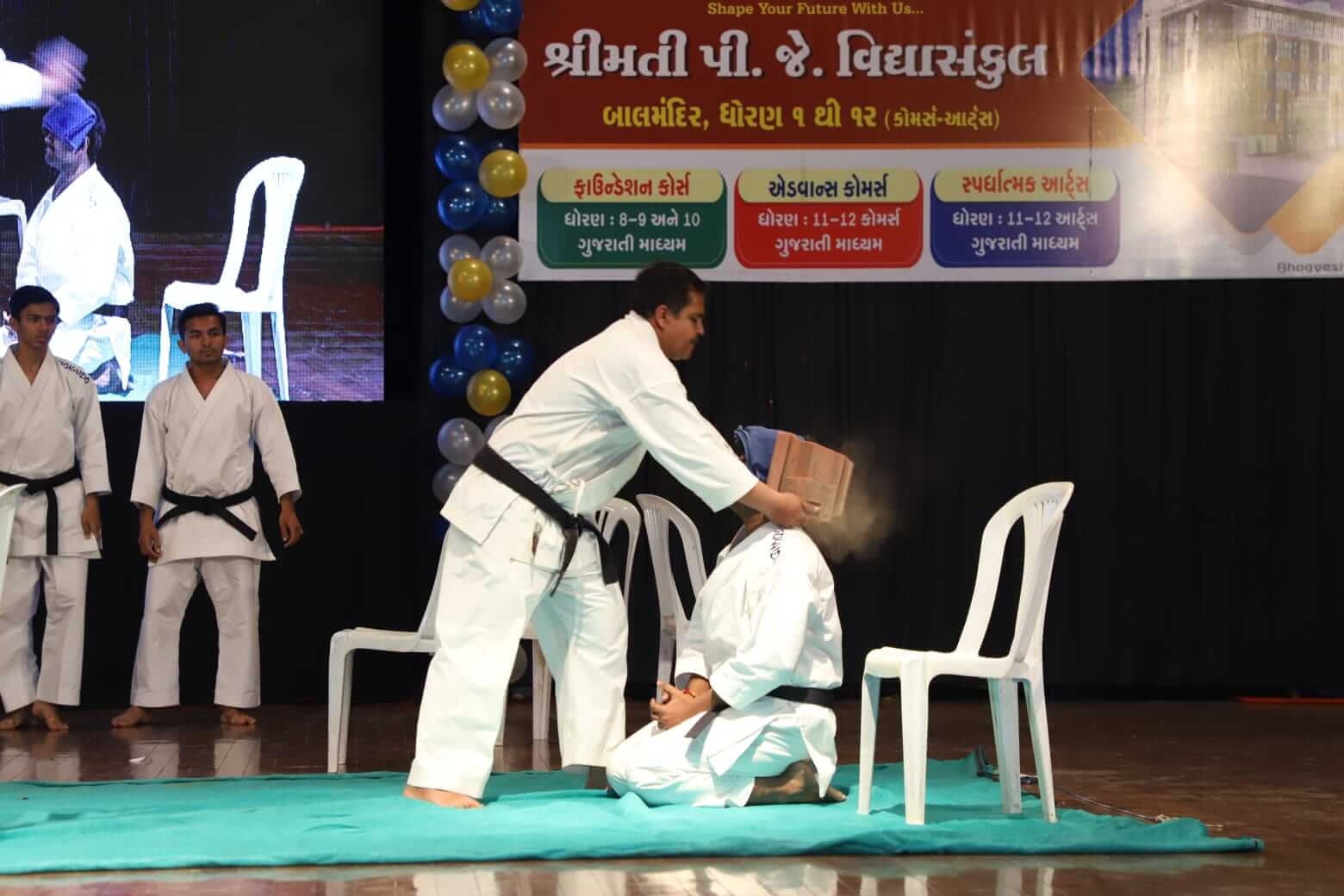  Karate Demonstration 2024