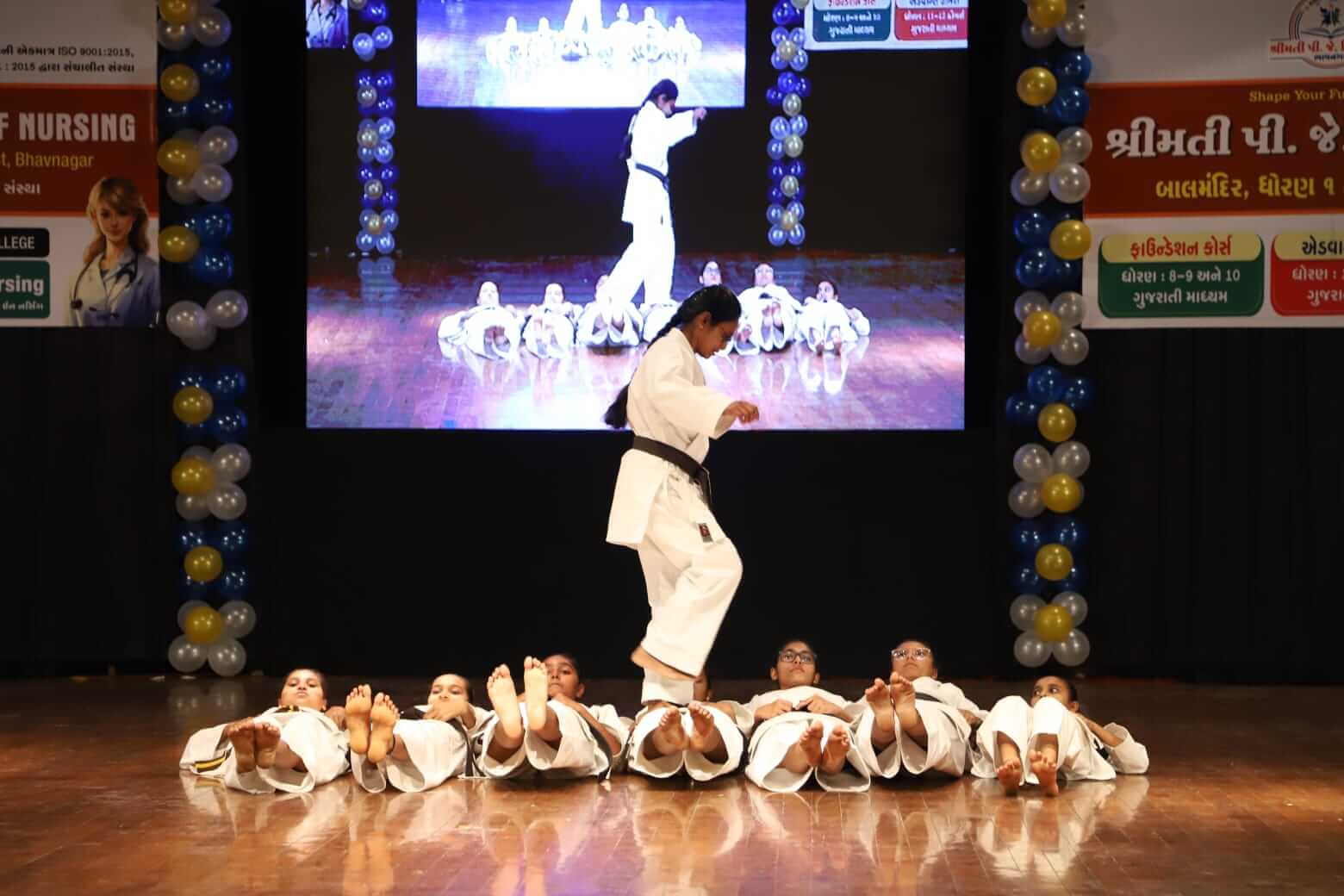  Karate Demonstration 2024