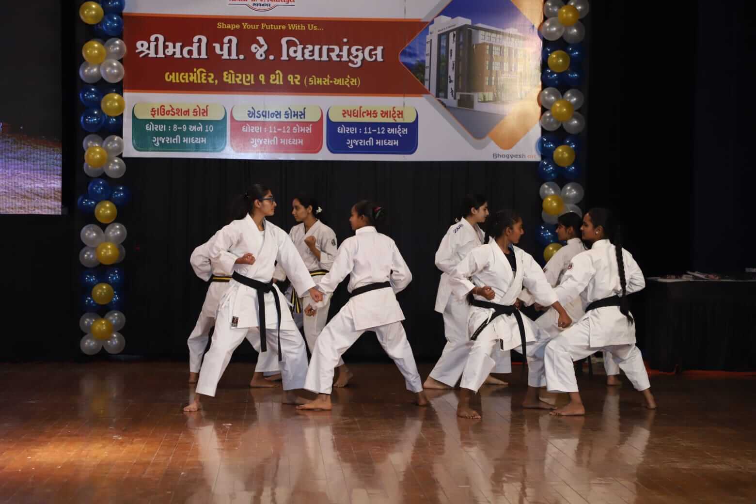  Karate Demonstration 2024