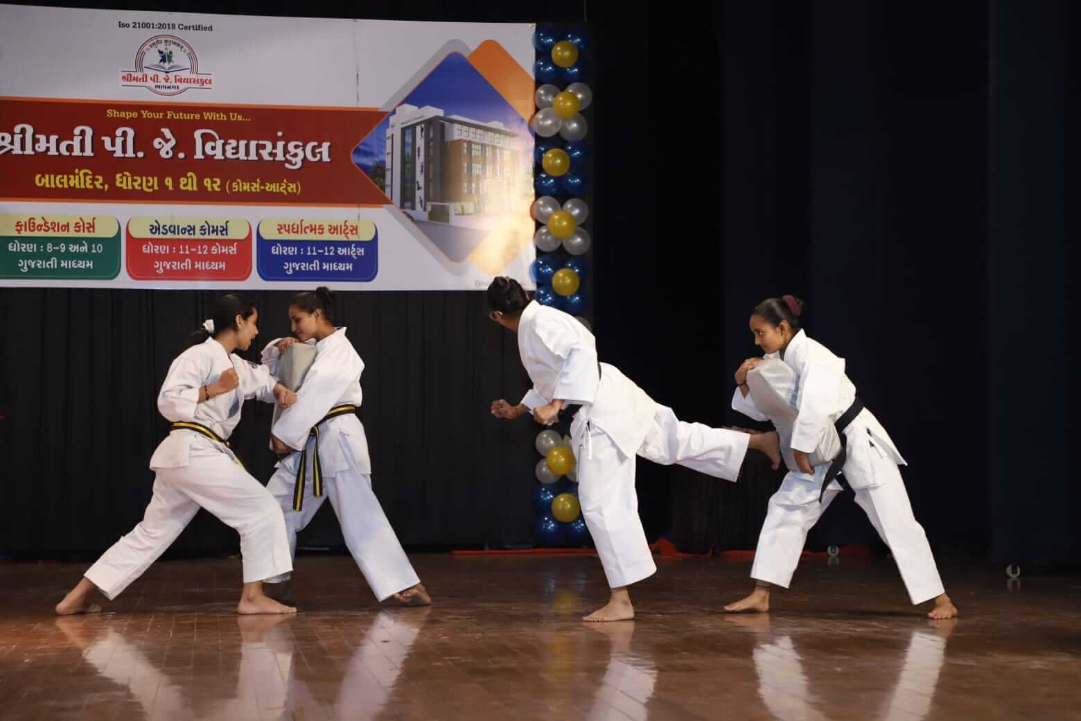  Karate Demonstration 2024