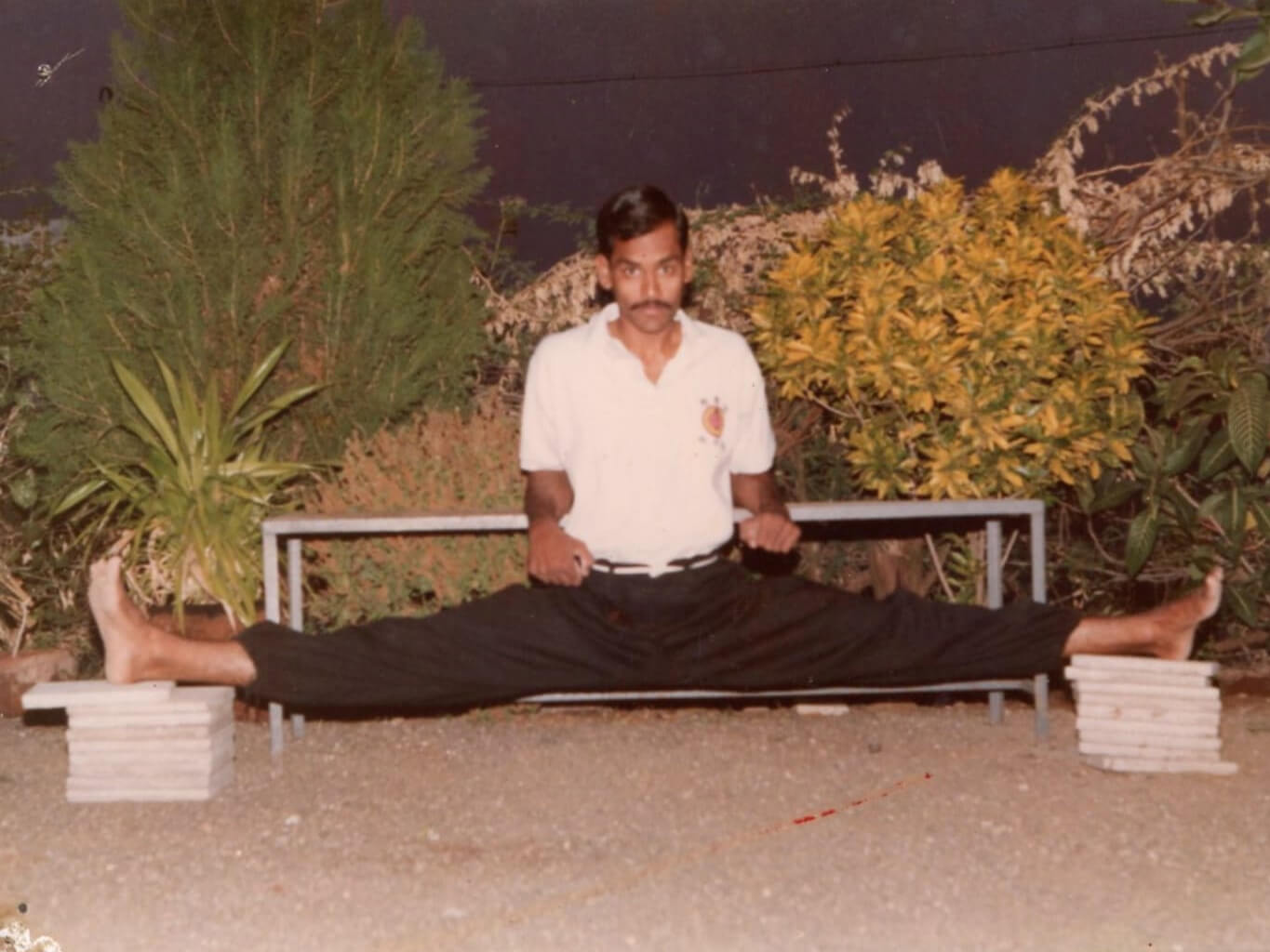 Shihan Pradeep Parekh Gallery