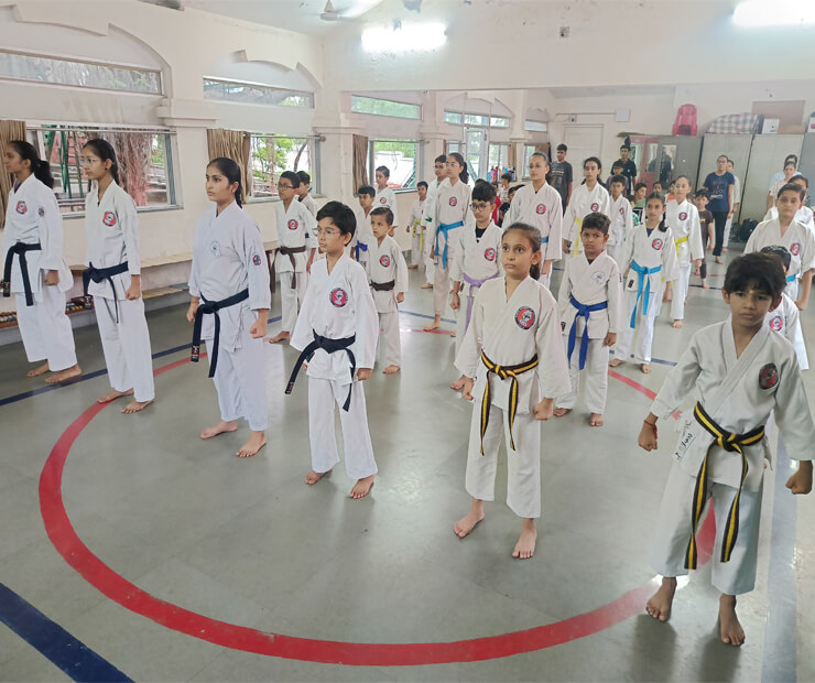 Shree Dakshinamurty Activity Center - Karate training class