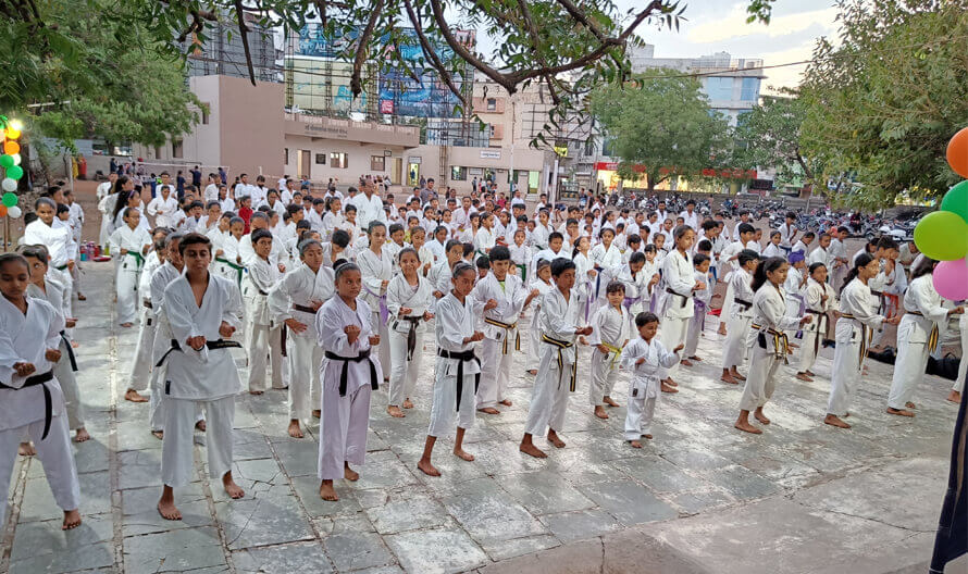 Karate Academy training classes