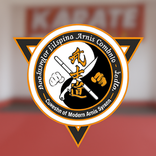 Arnis training and achievements